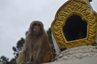 Swayambhunath #12